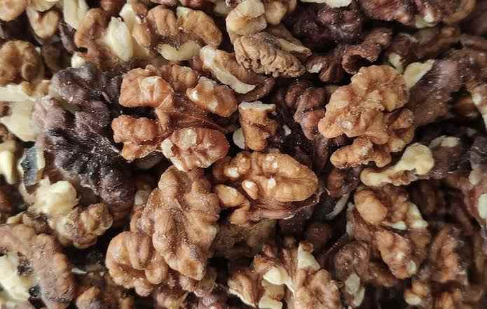 مغز گردو فله یکدست مناسب صنایع غذایی و فروشگاهی